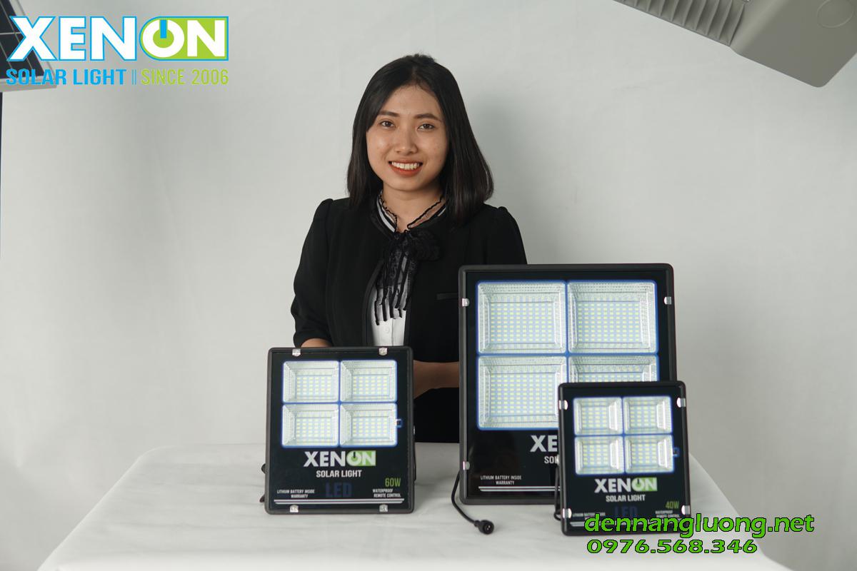 đèn năng lượng Xenon CX100W