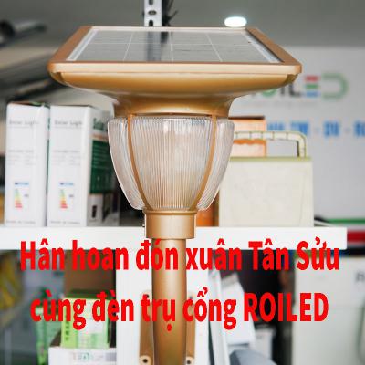 Hân hoan đón xuân Tân Sửu cùng đèn trụ cổng Roiled