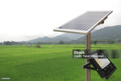Khám Phá Ứng Dụng Của Đèn Năng Lượng Mặt Trời Và Bí Quyết Chọn Mua Sản Phẩm Phù Hợp