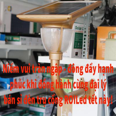 Niềm vui tràn ngập - đong đầy hạnh phúc khi đồng hành cùng đại lý bán sỉ đèn trụ cổng Roiled Tết này!