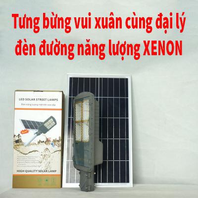 Tưng bừng vui xuân cùng đại lý đèn đường năng lượng XENON