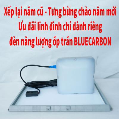 Xếp lại năm cũ – Tưng bừng chào năm mới – Ưu đãi linh đình chỉ dành riêng đèn năng lượng ốp trần Blue Carbon