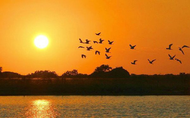 Năng lượng mặt trời là tài nguyên  năng lượng gì?